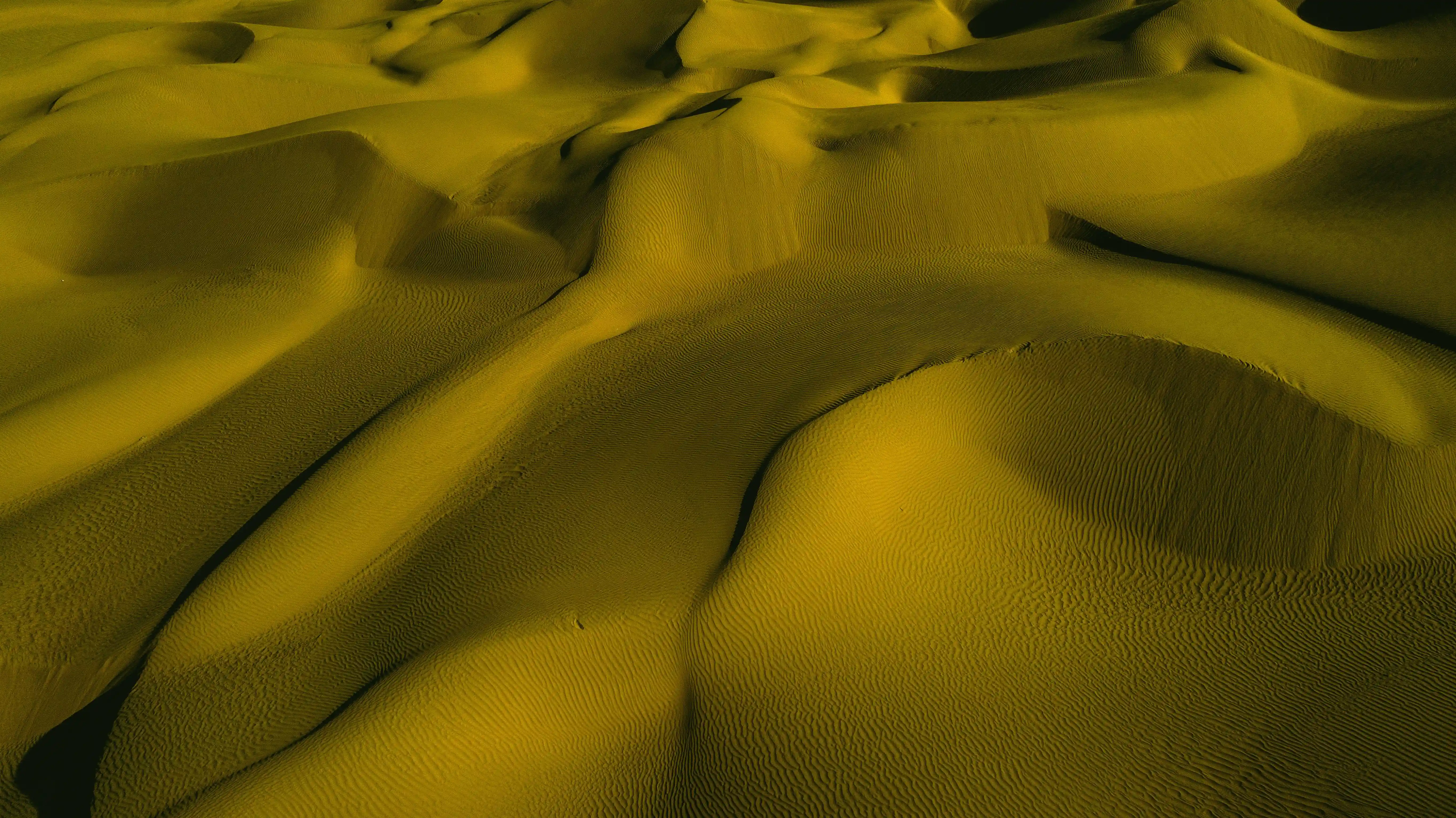 Day 2: Yarkand Heritage → N39 Desert